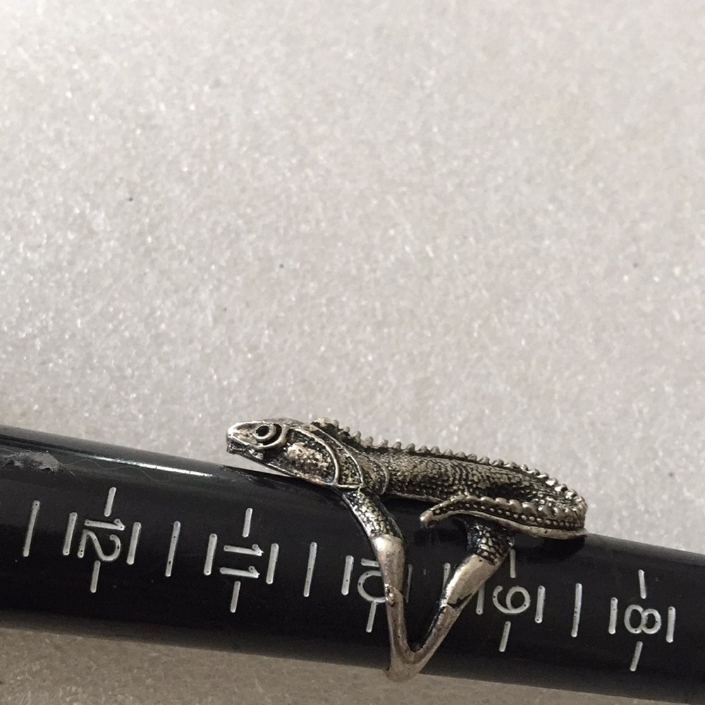Lazard ring - Picture 6 of 6
